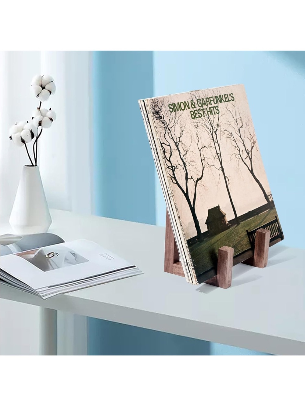 Vinyl Record Display Stand/Storage - Picture 4 of 5